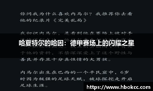 哈夏特尔的哈因：德甲赛场上的闪耀之星